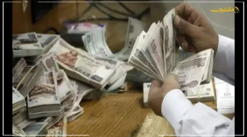 رسميًا.. بدء صرف مرتبات شهر سبتمبر 2025 لجميع العاملين بالدولة الأسبوع المقبل 1